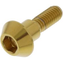 Schraube JMP für Bremsscheibe M6x1,00mm 20mm Edelstahl V4A gold