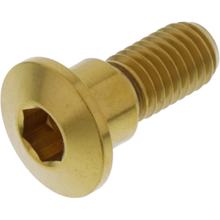 Śruba JMP do tarczy hamulcowej M8x1.25mm 22mm stal nierdzewna V4A złota
