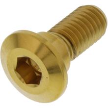 Śruba JMP do tarczy hamulcowej M8x1.25mm 20mm stal nierdzewna V4A złota