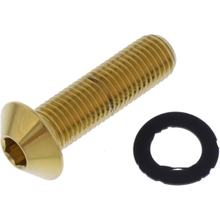 Linsenschraube JMP M10x1,25mm 35mm Edelstahl V4A gold