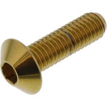 Vis ovale JMP M6x1.00mm 20mm en acier inoxydable V4A doré