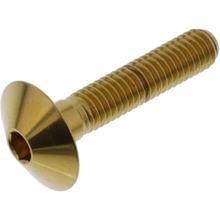 Linsenschraube JMP M6x1,00mm 30mm Edelstahl V4A gold