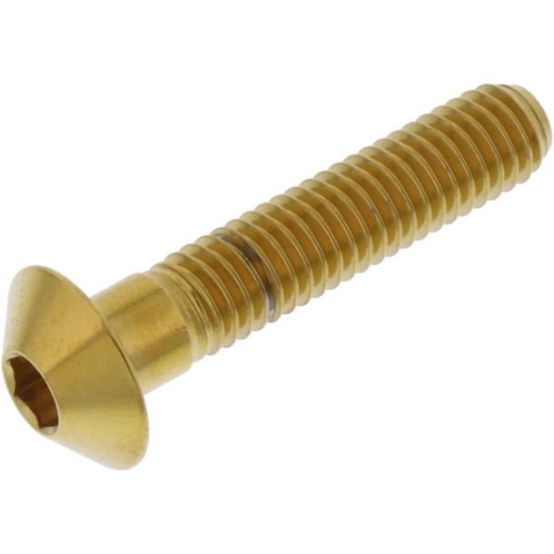 Tornillo ovalado JMP M6x1.00mm 30 mm acero inoxidable V4A dorado