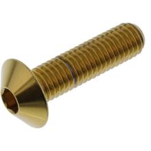 Śruba owalna JMP M8x1.25mm 30mm stal nierdzewna V4A złota