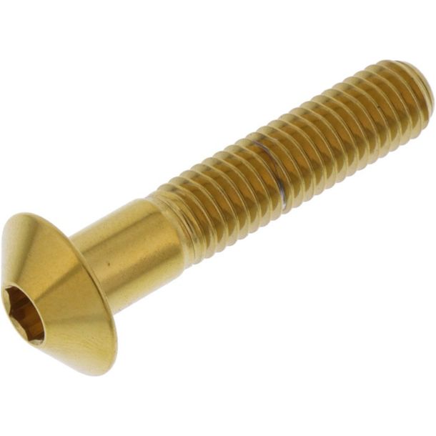 Tornillo ovalado JMP M8x1.25mm 40mm acero inoxidable V4A dorado