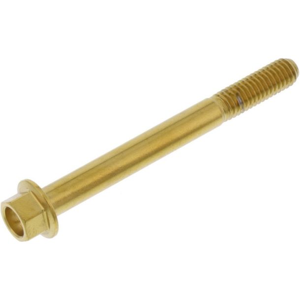 Perno hexagonal JMP M6x1.00mm 60 mm acero inoxidable V4A dorado