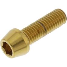 Śruba stożkowa JMP M8x1.25mm 25mm stal nierdzewna V4A złota