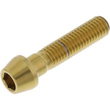 bout JMP konisch M8x1,25mm 35mm roestvast staal V4A goud