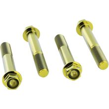 Bremssattelbefestsigungschrauben JMP Titan gold für Kawasaki ZX-6R , Honda VFR F FA Ducati S 636 / 999 / 1200 ccm Bj. 2003 - 2017