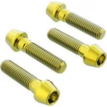 Bremssattelbefestsigungschrauben JMP Titan gold für Aprilia RS4 i.e. 125 ccm Bj. 2011 - 2016