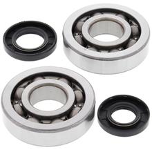 Lagersatz Kurbelwelle All Balls für Kawasaki KX 250 ccm Bj. 2002 - 2008