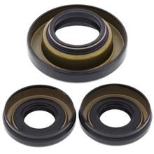 Kit de Vedação do Rolamento Diferencial All Balls para Honda TRX ER R SporTrax FW Fourtrax Foreman 400 / 450 ccm Ano 1996 - 2001