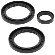 Dichtsatz Differentiallager All Balls für Polaris Sportsman Twin EFI MV7 X2 700 ccm