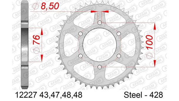 Kettenrad AFAM 428 LK 100 Ø 76 48Z 6-Loch Stahl silber