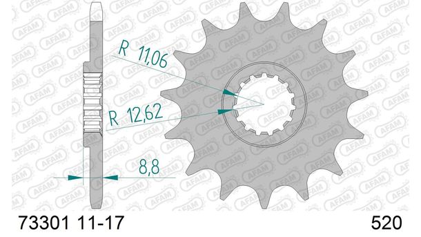 Ritzel AFAM 520 17Z