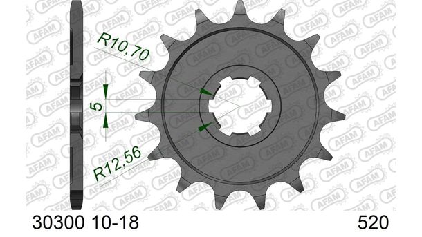 Ritzel AFAM 520 18Z