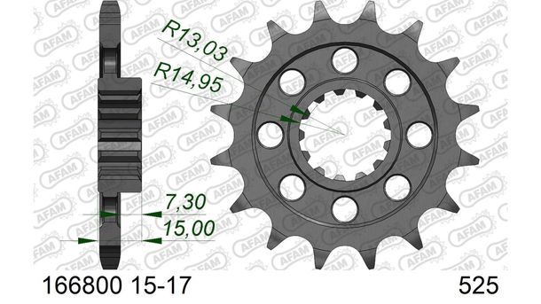 Ritzel AFAM 525 16Z
