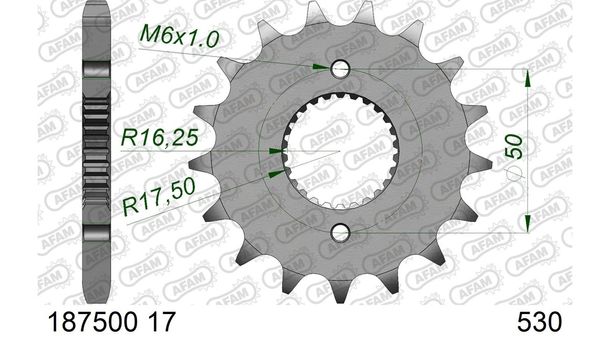 Ritzel AFAM 530 17Z
