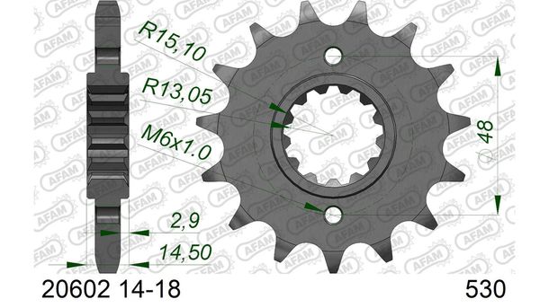 Ritzel AFAM 530 18Z