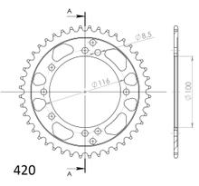Piñón de acero Supersprox 420 LK 116,0 mm Ø 100 mm 44T negro