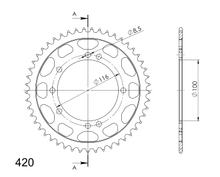 Supersprox 420 LK 116,0 mm Ø 100 mm 49Z Piñón de acero con 8 orificios negro