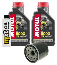 Paquete de inspección 2L 10W-40 + filtro de aceite + 1x bujía para Honda NSS Jazz 250 ccm