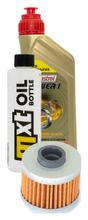 Inspection package 1L 10W-40 + oil filter + 1x spark plug for Peugeot Elyseo 125 ccm