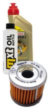 Paquete de inspección 1L 10W-40 + filtro de aceite + 1x bujía para Suzuki AN 125 ccm