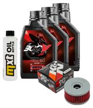 3L 15W-50 inspection package+ oil filter for Beta Alp 4.0 350 ccm Year 2008