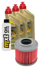 Pacchetto di ispezione 3L 10W-40+filtro olio per BMW F ST 650 ccm Anno 1994 - 1999