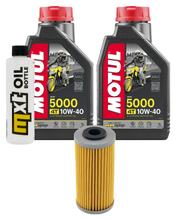 Paquet d'inspection 2L 10W-40+filtre à huile pour BMW G X 450 ccm Année 2009 - 2011