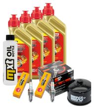 Kit d'inspection 4L 5W-40 + filtre à huile + 2 bougies pour BMW R GS RT Adventure 1200 ccm Année 2004 - 2009