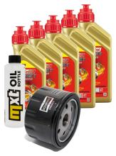 Paquete de inspección 5L 5W-40 + filtro de aceite + 2 bujías para BMW R RT 1200 ccm Año 2013