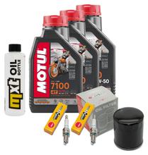 Inspection package 3L 20W-50 + oil filter + 2x spark plug for Harley Davidson XL N Iron 883 ccm Year 2009