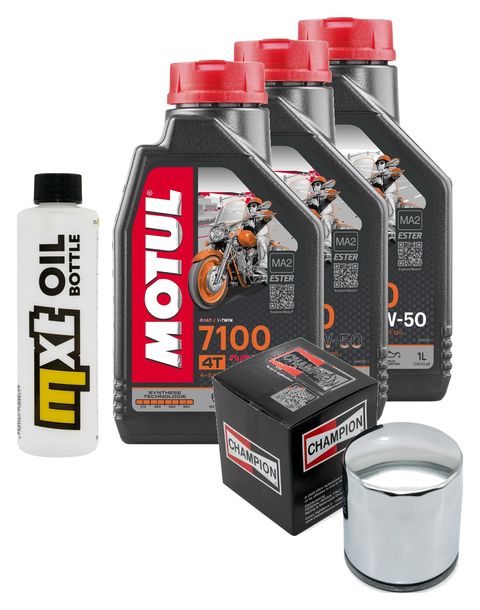 Inspektionspaket 3L 20W-50 + Ölfilter + 2x Zündkerze für Harley Davidson XL N Iron 883 ccm Bj. 2011