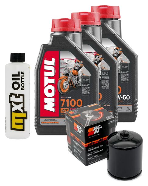 Inspektionspaket 3L 20W-50 + Ölfilter + 2x Zündkerze für Harley Davidson XL N Iron 883 ccm Bj. 2011