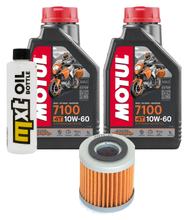 Pacchetto di ispezione 2L 10W-60 + filtro olio per Aprilia RXV 550 ccm Anno 2006