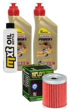 Inspection package 2L 20W-50 + oil filter + 1x spark plug for Suzuki AN Burgman 400 ccm Year 2006