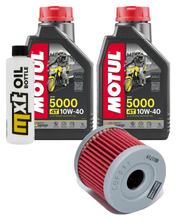 Paquete de inspección 2L 10W-40 y filtro de aceite para Hyosung GV Aguila Classic 125 ccm Año 2005