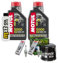 Pacchetto di ispezione 2L 10W-40 + filtro olio + 2x candela per Kawasaki ER-6 N F 650 ccm Anno 2005