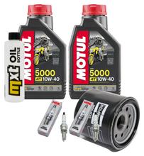 Inspectiepakket 2L 10W-40 + oliefilter + 2x bougie voor Kawasaki ER-6 N F 650 ccm Bj. 2006