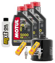Inspectiepakket 3L 10W-40 + oliefilter + 2x bougie voor Suzuki SV S SF DL V-Strom 650 ccm Bj. 2007 - 2011