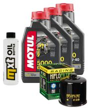 Paquete de inspección 3L 10W-40 + filtro de aceite + 2 bujías para Suzuki SV S SF 650 ccm Año 2000 - 2006
