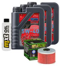 3L 5W-40 inspection package+ oil filter for Honda TRX FourTrax 300 ccm