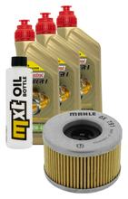Inspektionspaket 3L 10W-40 + Ölfilter für Honda TRX FA Rincon 650 ccm