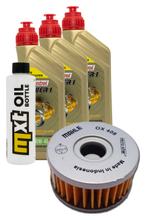 3L 10W-40 inspection package+ oil filter for Beta Alp 4.0 350 ccm Year 2016 - 2020