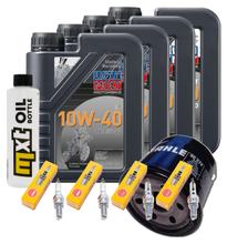 Paquete de inspección 4L 10W-40 + filtro de aceite + 4 bujías para Suzuki GSF Bandit SA GSX F FA 1250 ccm Año 2014 - 2017