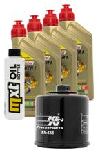 Paquete de inspección 4L 10W-40 + filtro de aceite + 4 bujías para Suzuki GSF Bandit SA GSX FA 1250 ccm Año 2015 - 2016