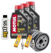 Kit d'inspection 3L 10W-40 + filtre à huile + 2 bougies pour Suzuki DL V-Strom SV S SF 650 ccm Année 2017