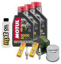 Kit d'inspection 3L 10W-40 + filtre à huile + 2 bougies pour Suzuki DL V-Strom SV S SF 650 ccm Année 2017